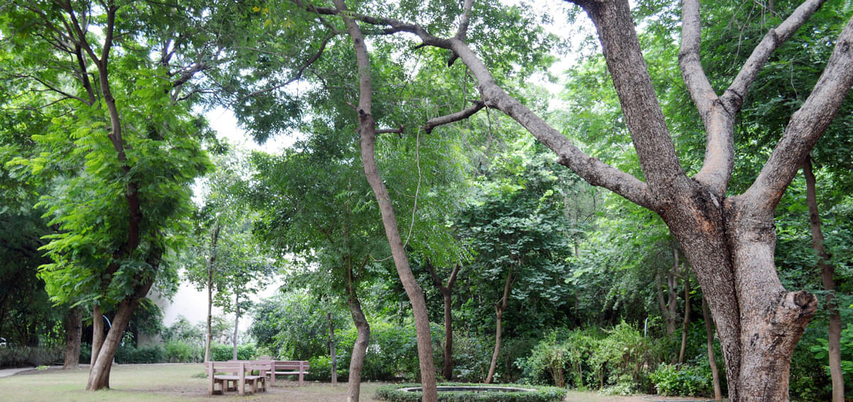 DAIICT Campus photo 24